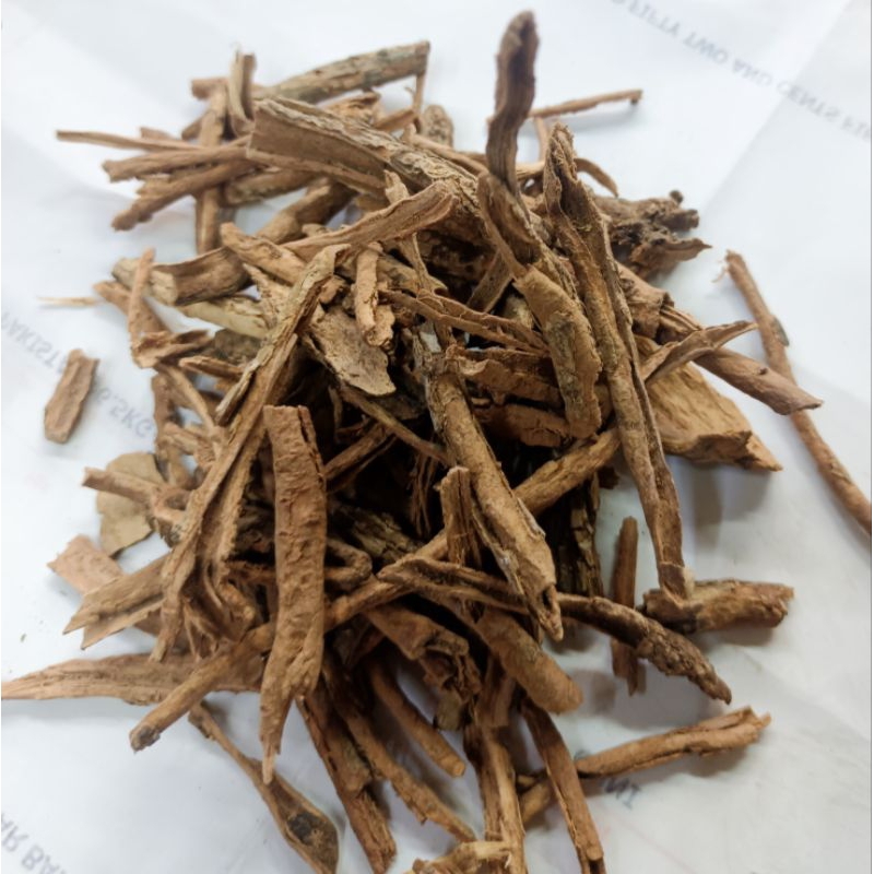 Akar Serapat